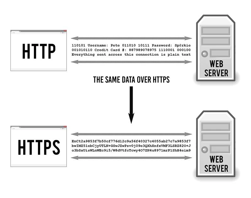 data and web server