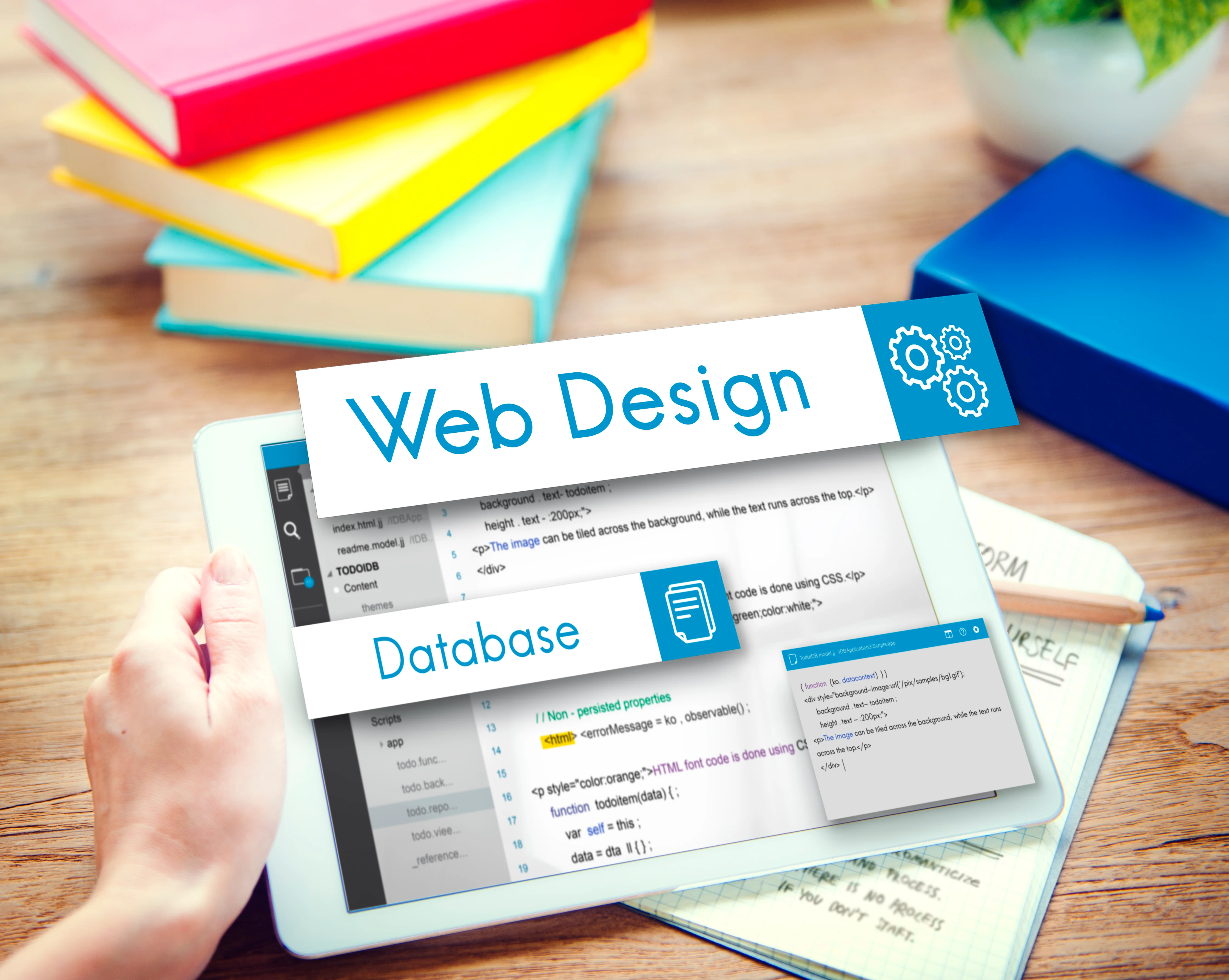 Web Design & Development