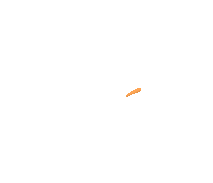 Animated Banner