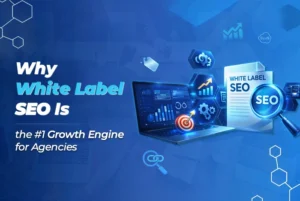 white label seo for agency