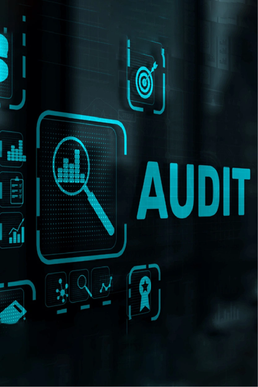 Accessibility Audits